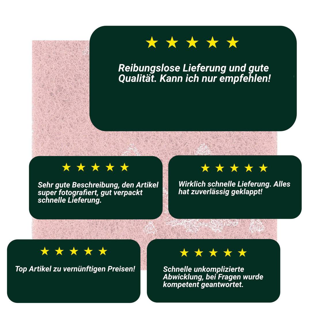 Schleifvlies-Bewertung